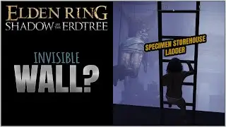 Elden Ring | Specimen Storehouse ladder has an invisible wall