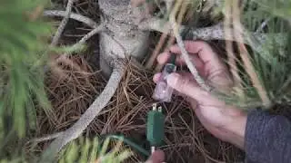EZ Twist Pro-Plug Mini Light Installation
