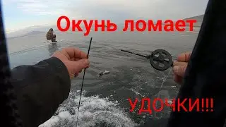 Окунь сломал удочку!!!/Блесним на КВХ Знаменский залив!!!/Декабрь 2021г!!!
