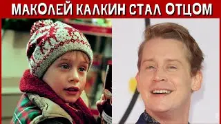 Звезда 