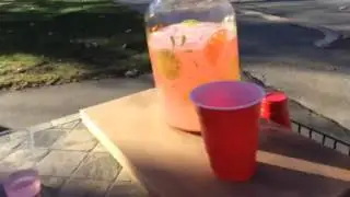 How to make a lemonade stand !