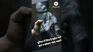 jay Mahadev| har har mahadev|#mahadev #shorts
