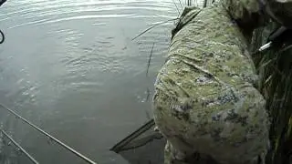MOV00595