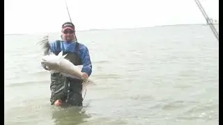 Corpus Christi Redfish and Rockport Reef Trout