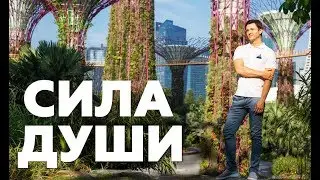 ОТКРОЙ СВОЮ СИЛУ! АПОЛЛО КВАНТУМ