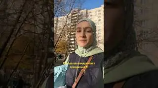 20 октября 2024 г.