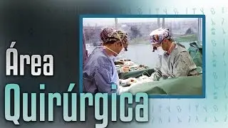 Área Quirúrgica