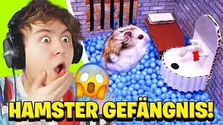 HAMSTER GEFÄNGNISAUSBRUCH - Roman Reagiert