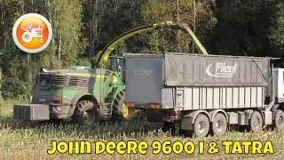 Silage 2024 | John Deere 9600i forager in maize silage