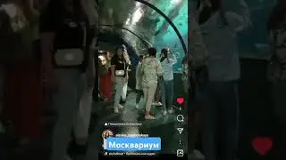 Москвариум #Москвариум #Москвариум2024
