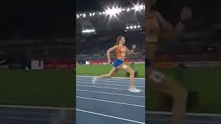 Femke Bol 2024