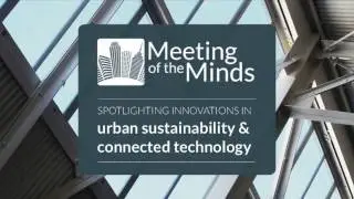 Transforming Urban Transport – The Role of Political Leadership