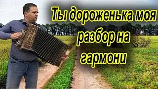 Ты дороженька моя, ты дорожка дальняя // разбор на гармони