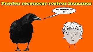 Datos Que NO Conocías Que Te Dejarán Aterrado | Datos perturbadores #58