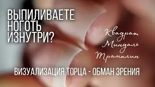 Визуализация торца. Квадрат, Трамплин, Миндаль .
