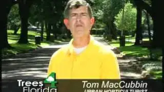 Maintaining Healthy Trees