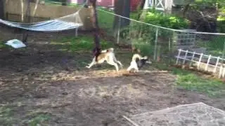 No one is playing in MY Pool!