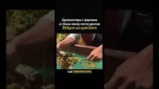 Дропхантеры, после выхода LayerZero и ZkSync
