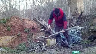 Березовый сок, журавли и дрова.