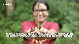 Illipe Butter: The Natural Bridge for People, Orangutans, and Forests
