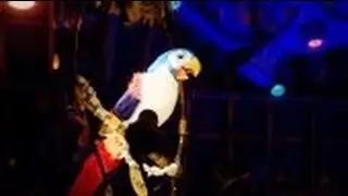 Disney's Enchanted Tiki Room (in 2009)