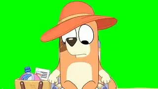 Time Relax Green Screen | Bluey Relax