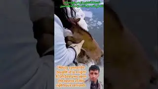 الرحمة لا تشترى بل هي نورٌ يقذفه الله في قلوب عباده الصالحين 
