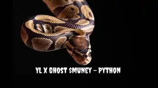 YL x Grim Smuney - Python