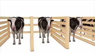 Learn colors with milk cows For kids