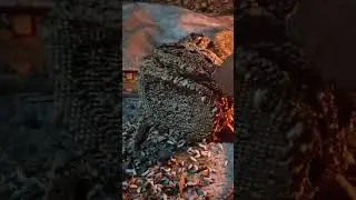 Koko lai man parxa#