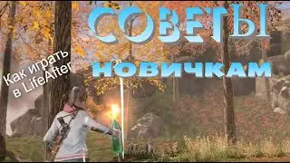 Как быстро развиться в LifeAfter?