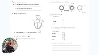 Q2 Teacher guided trilogy FT exam Q 2