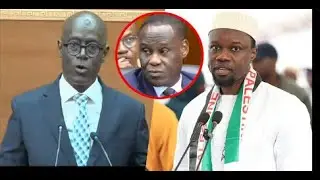 Thierno Alsanne Sall : ''Ousmane Sonko a piétiné la Constitution avec la complexité du Pr Diomaye