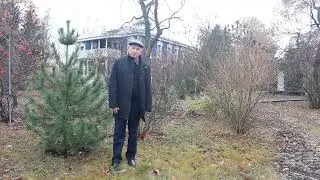 Прогулка по Ивановке с Александром Ермаковым. 3 ноября 2020 года