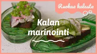 Marinoidut silakat | Ruokaa kalasta
