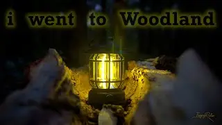 In the Woods - My first a bit long Video 😊
