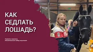 Как седлать лошадь?