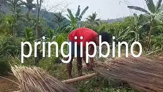 Jikgipbakokajiajika Gomiti sot vidio
