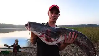 CATFISH BITED POWERFULLY AND ALL NIGHT / CATFISH FEEDING / HARD BITES 