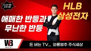 [오후시황]  HLB 분석 / 삼성전자 / 애매한 반등과 무난한 반등
