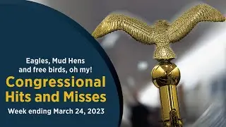 Eagles, Mud Hens and free birds, oh my! — Congressional Hits and Misses