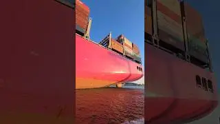 🚢 ULTRA-LARGE Pink Container Ship!😅