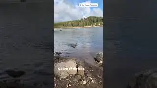 Video of Ice House Campground, CA from Azizah T.