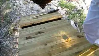 Learning Top Bar Hive Beekeeping - Comb management 1/2