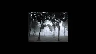 A winter Morning at Rajshahi University.. Beauty of RU, Foggy morning..