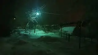 Вечерняя прогулка.