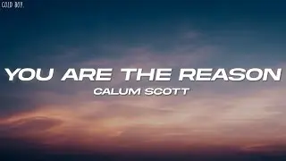 Calum Scott - You Are The Reason (Lyrics)