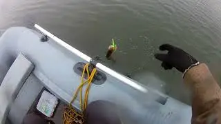 Горево 29 10 22