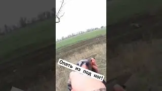 охота на зайца #охота #ружьё #животные #попал #заяц