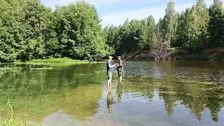 щука любит шум и музыку